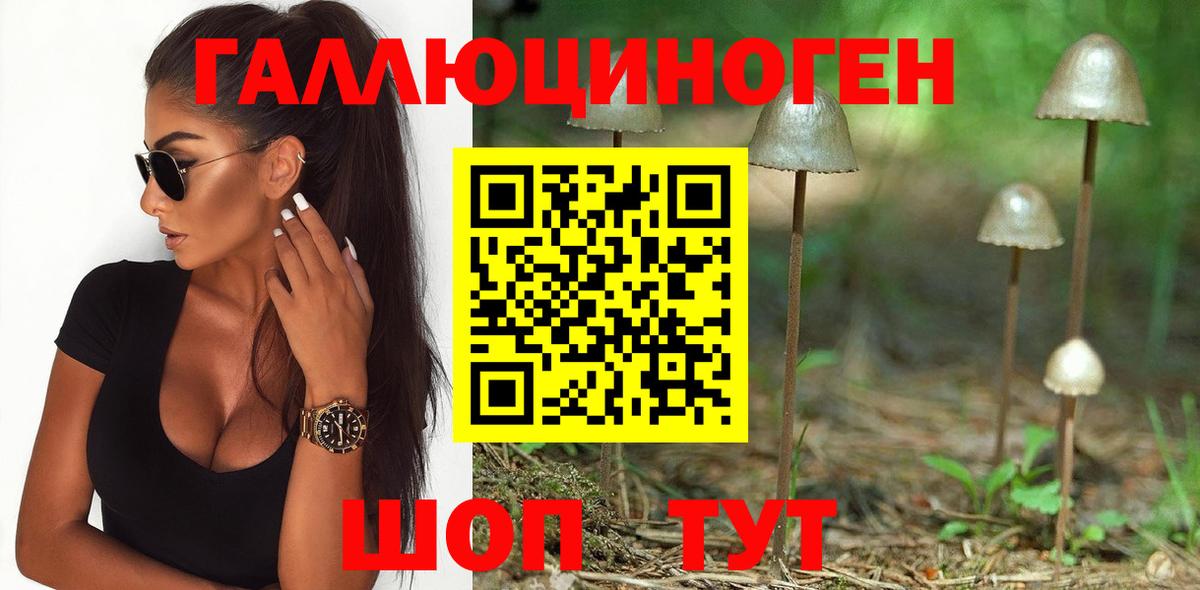 Псилоцибиновые грибы мицелий  Вход с VPN  купить   Мыски 